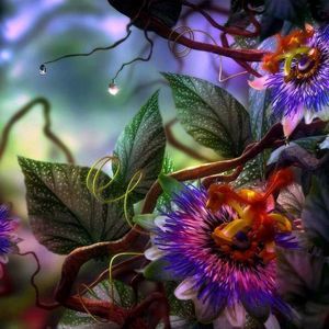 Meet your Posher, Angie